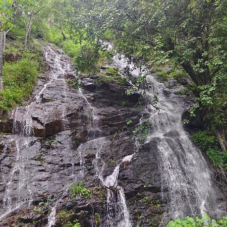 Coorg Divine Spark Home Stay Suntikoppa Eksteriør billede
