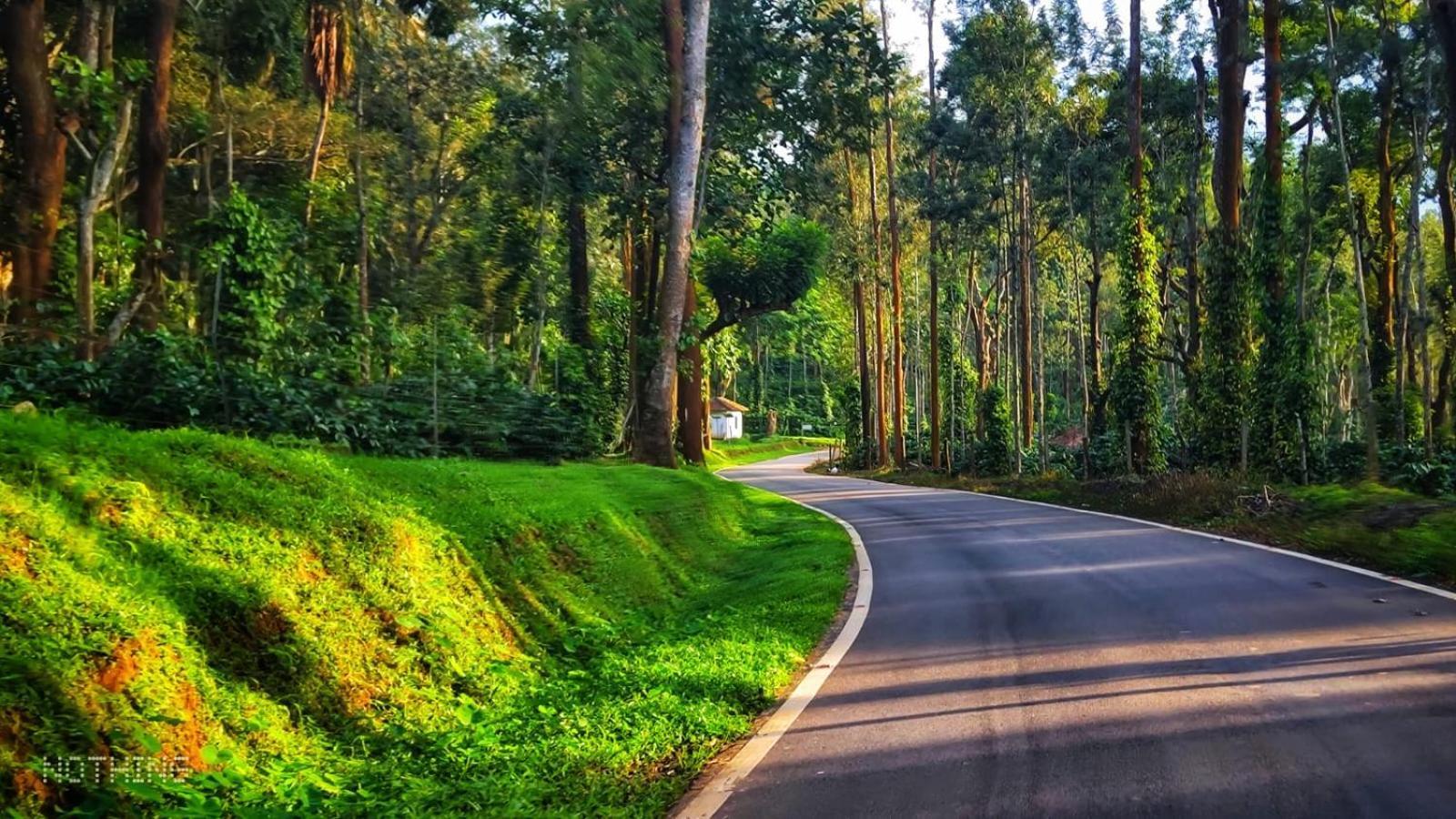 Coorg Divine Spark Home Stay Suntikoppa Eksteriør billede