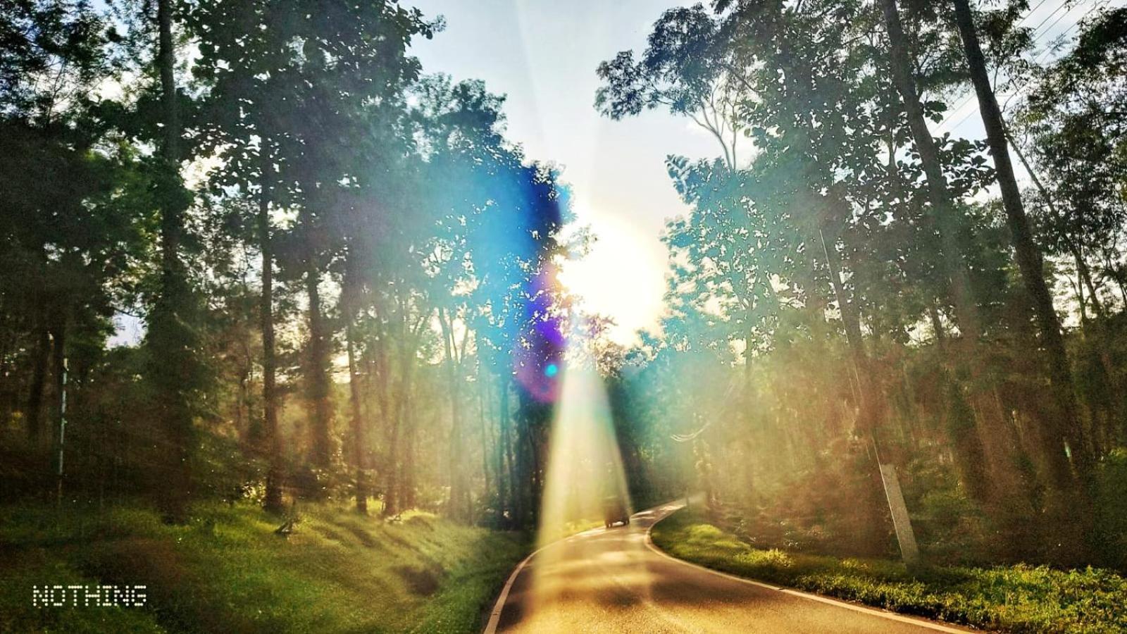 Coorg Divine Spark Home Stay Suntikoppa Eksteriør billede