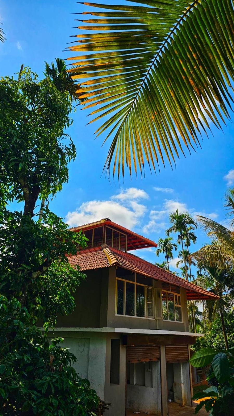 Coorg Divine Spark Home Stay Suntikoppa Eksteriør billede