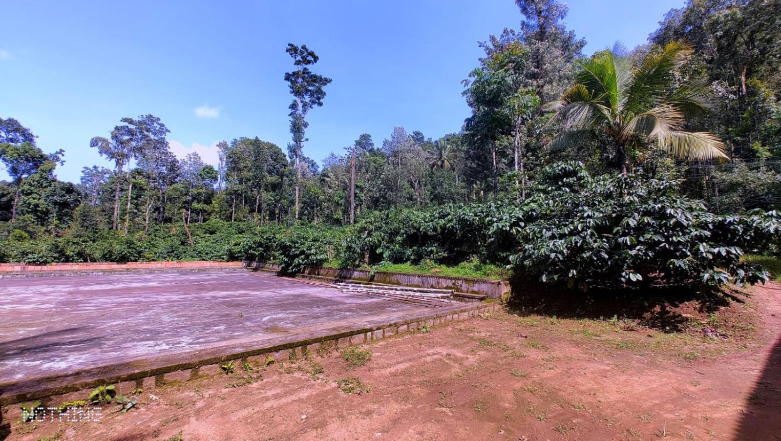 Coorg Divine Spark Home Stay Suntikoppa Eksteriør billede