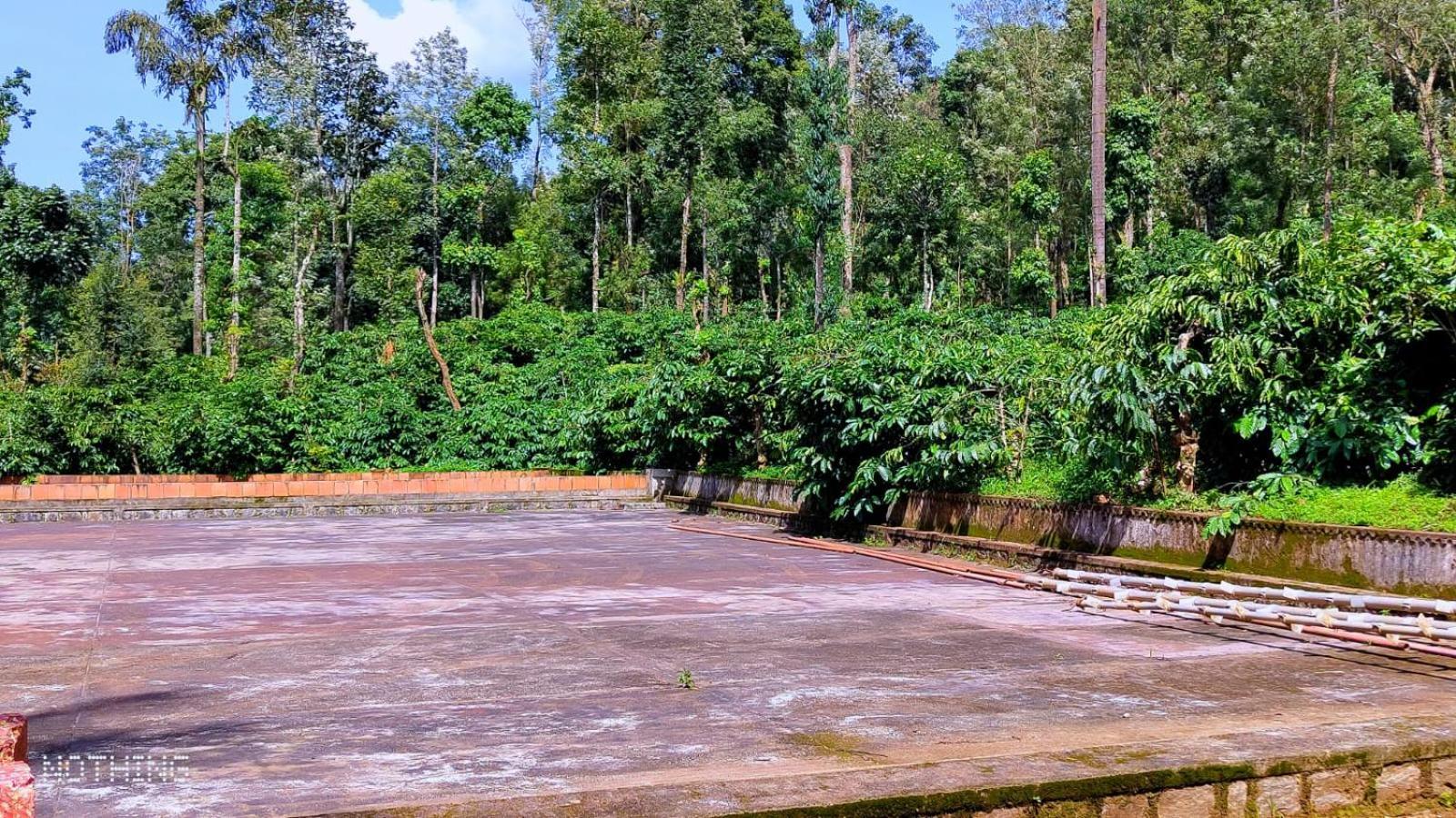 Coorg Divine Spark Home Stay Suntikoppa Eksteriør billede