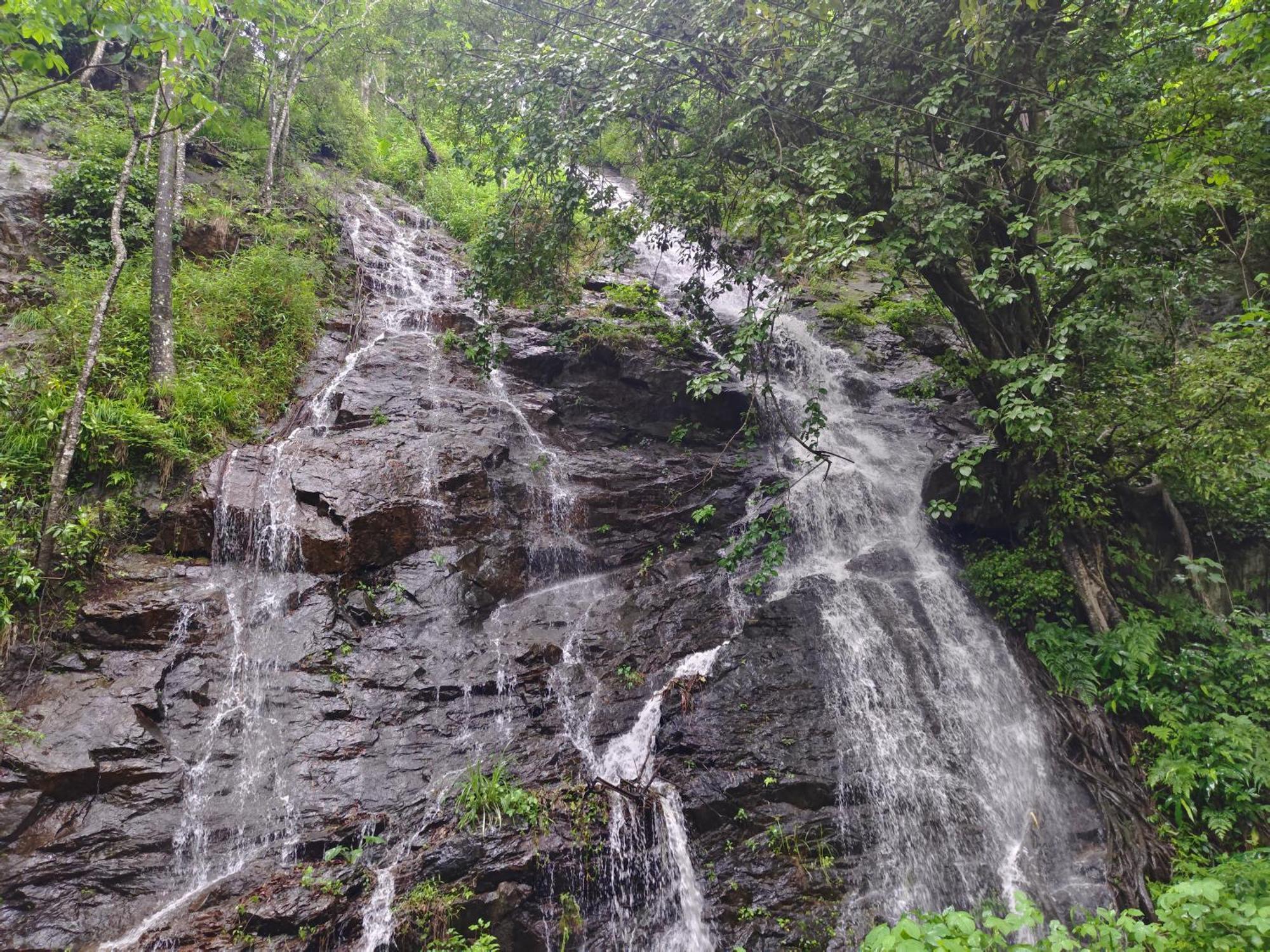 Coorg Divine Spark Home Stay Suntikoppa Eksteriør billede