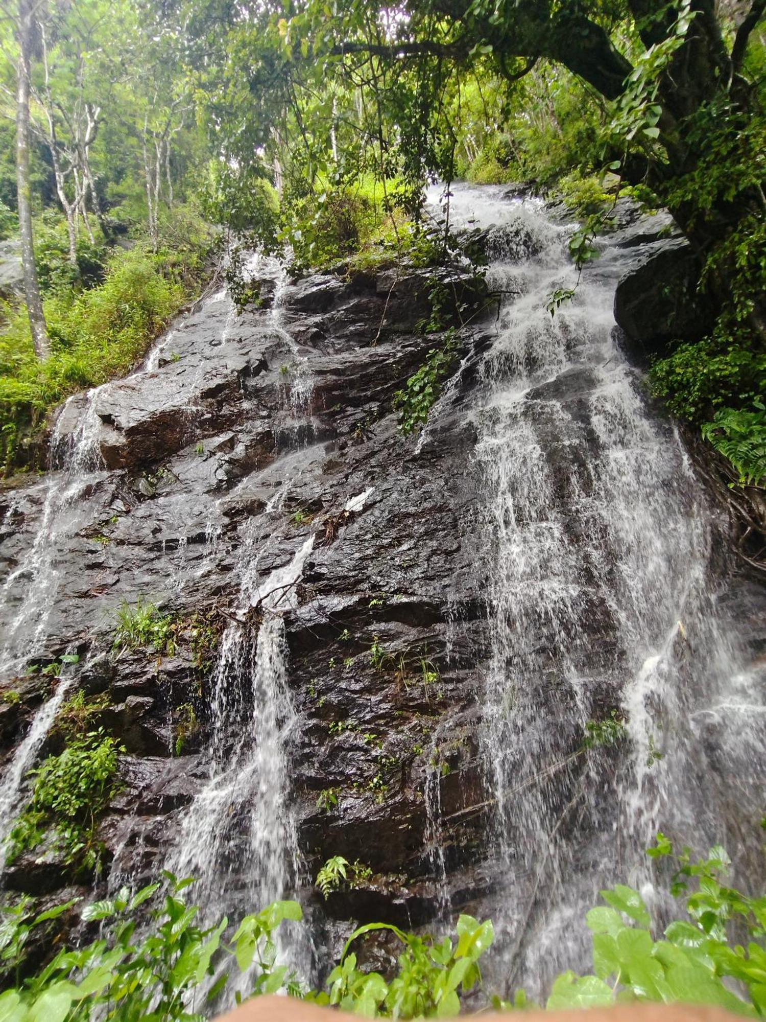 Coorg Divine Spark Home Stay Suntikoppa Eksteriør billede